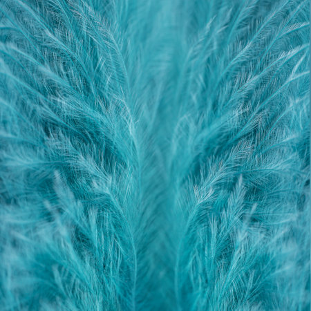 Green turquoise feathers in soft and blur style for background, macro shot. Green turquoise and blue color trends feather texture backgroundの写真素材