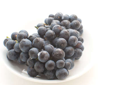 Bunch of grapes with water drops, isolated の写真素材