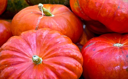 pumpkins の写真素材