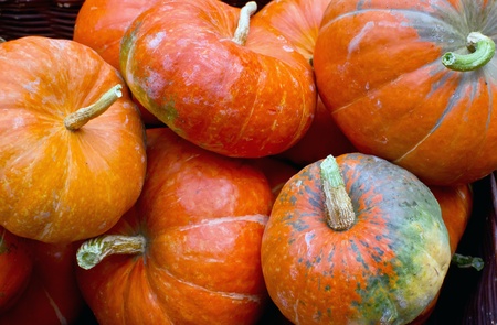 pumpkins の写真素材