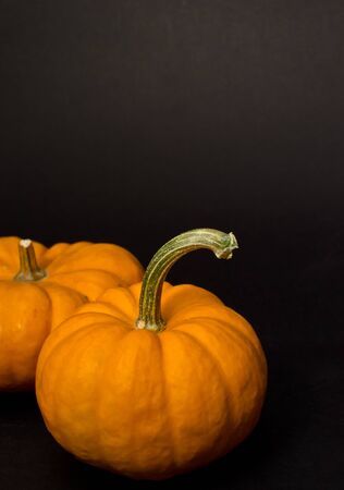 pumpkin studio shot on black backgroundの写真素材