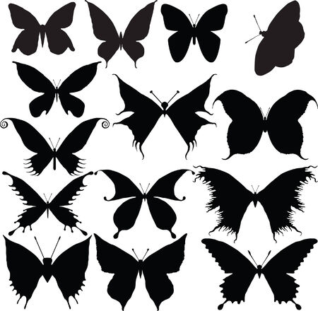 butterfly silhouette vectorのイラスト素材