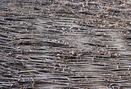 Natural textured background of wickerの写真素材