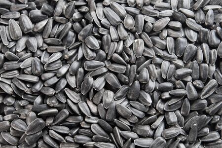 Background of sunflowers seeds