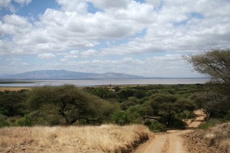 Road in Lake Manyara National Park, Tanzaniaの写真素材