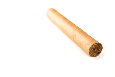 Dominican cigar on white groundの写真素材