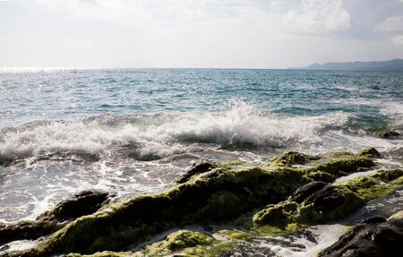 Beautiful sunny sea coast with waves on the seaの写真素材