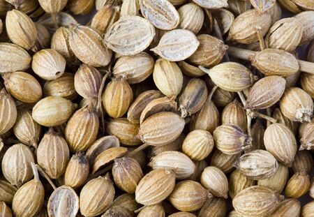 background brown of coriander seeds 