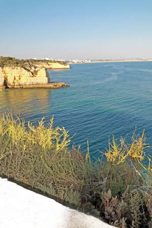 Coastal cliffs in Algarve, Portugalの写真素材