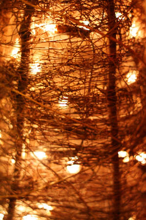 Texture of light and wires from a lamplightの写真素材