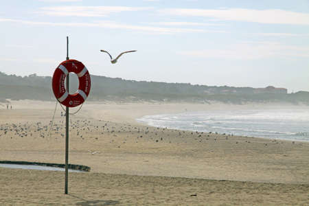 Lifebuoy on northen portuguese beach, with seagull flying nearの写真素材