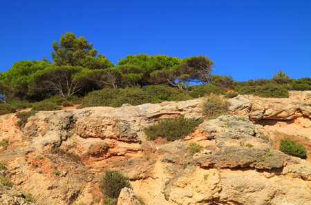 High cliffs in Algarve shoreの写真素材