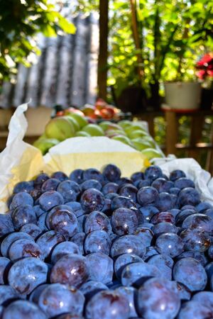 Closeup of picked plums, with other fruits in the backgroundの写真素材