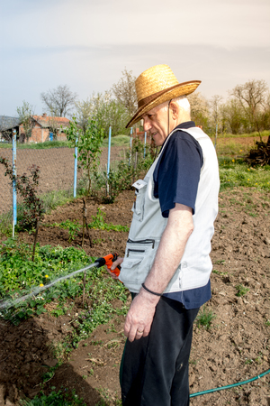 Elderly farmer with hat watering crops in early springの写真素材
