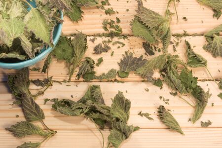 Small pot full of nettle  leaves. Table is covered with dry leaves.