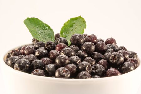 Fresh and tasty aronia in a bowl. Water droplets on fruit are visibleの写真素材
