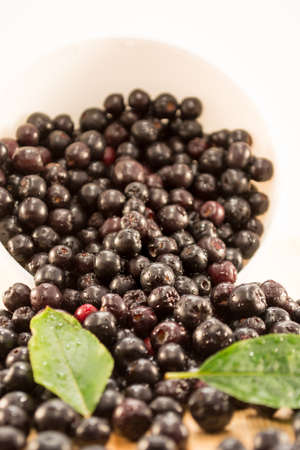 Fresh and tasty aronia spilled out of a bowl. Water droplets on fruit are visibleの写真素材