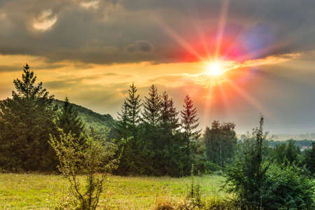 Summer landscape and sunset in forest near Sokobanja spaの写真素材