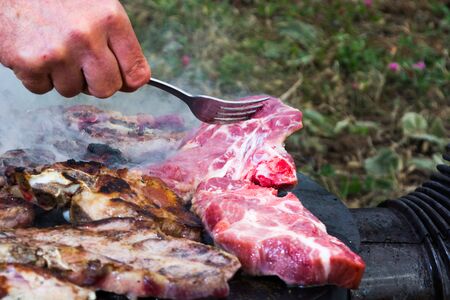 Grilled meat, pork, beef and chicken meat on barbecue, grill.の写真素材