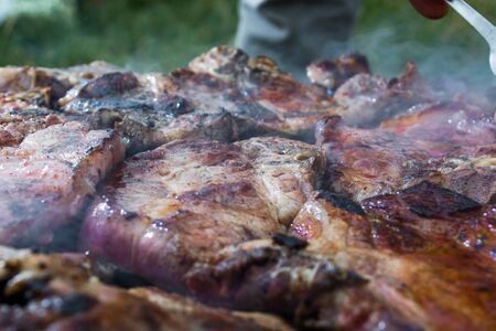Grilled meat, pork, beef and chicken meat on barbecue, grill.