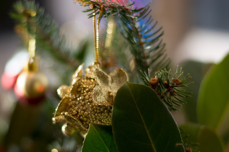 Girl decorating Christmass bouqet  with red ornaments, pines and tree branchesの写真素材