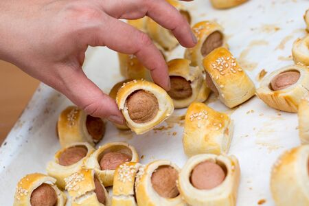 Home made pigs in a blanket. Sausages rolled in croissant dough baked cooling on metal rack with sesame. Selective focusの写真素材