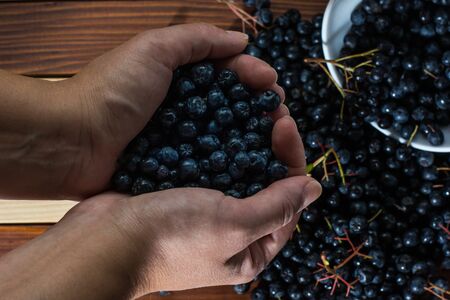 Female hands holding aronia berries over the wooden tableの写真素材