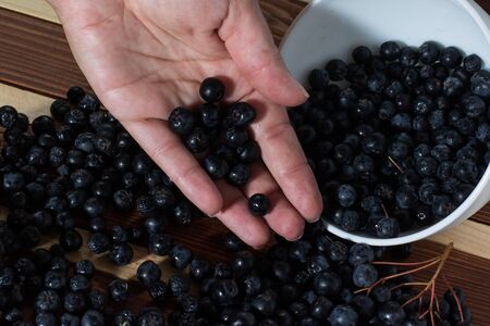 Female hand with aronia over the table filled with aronia berriesの写真素材