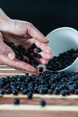 Female hand with aronia over the table filled with aronia berriesの写真素材