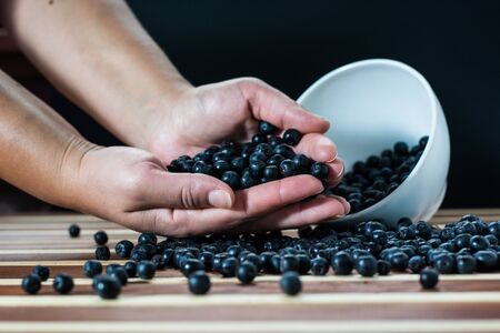 Female hand with aronia over the table filled with aronia berriesの写真素材