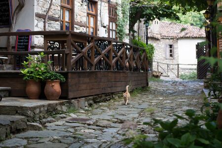 Traditional colors for Greek architecture. Mediterranean retro style. Pretty village greek style - artwork in retro styleのeditorial素材