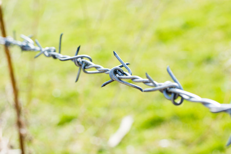 close-up the barbwire on the fence building. Blurred green background