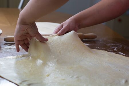 Woman making dough with meat at home on the kitchen table