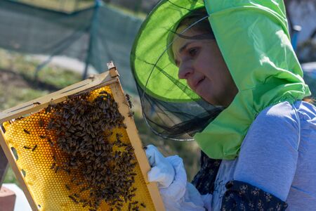 A beekeeper moves frames around inside the bee box