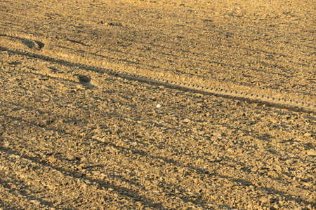 a field of arable land with plow furrows with a deep furrow with tractor tire tread marks, white stone in the centerの写真素材