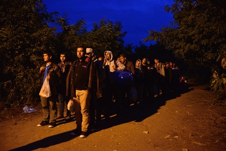 October 4, 2015; Bapska in Serbia. Group of refugees leaving Serbia. They came to Bapska by buses and then they leaving Serbia and go to Croatia and then to Germany. Many of them escapes from home because of civil war.のeditorial素材