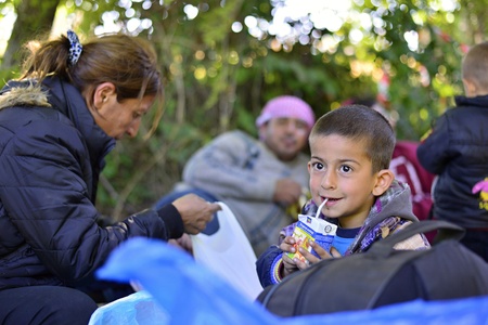 October 4, 2015; Bapska in Serbia. Group of refugees leaving Serbia. They came to Bapska by buses and then they leaving Serbia and go to Croatia and then to Germany. Many of them escapes from home because of civil war.のeditorial素材