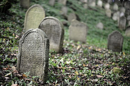August 22, 2013, Divisov in Czech republic. Old jewish cemetry in Divisov . August 22, 2013, Divisov...
