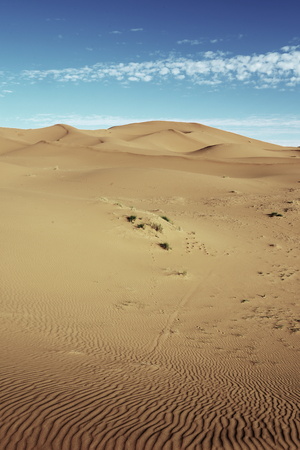 dry Sahara desert near Merzouga in Moroccoの写真素材