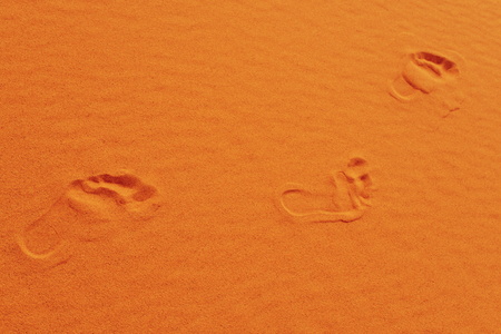 footsteps in Sahara in Morocco near Merzougaの写真素材