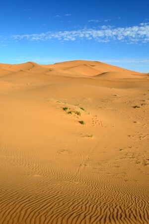 dry Sahara desert near Merzouga in Moroccoの写真素材