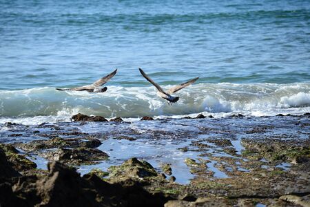 Beach in Morocco near to Sidi Ifni
