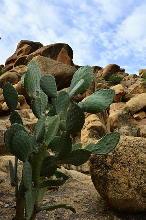 rocks in Tafroute in Atlas mountains in Moroccoの写真素材