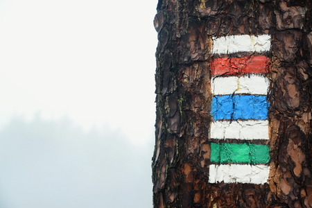 tourist mark in czech republic in czech edenの写真素材
