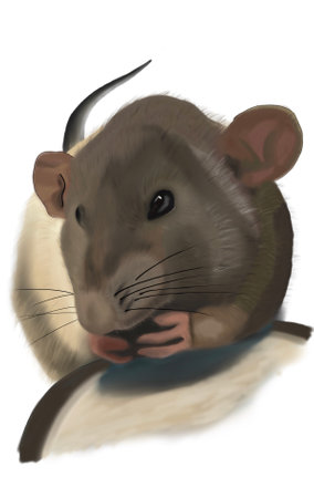 Happy Ratの写真素材