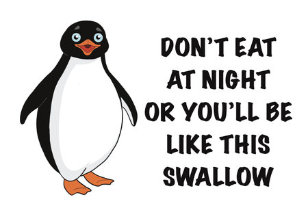 Swallow looks like a penguinの写真素材
