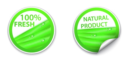 Vector Illustration Of fresh natural labels and stickersのイラスト素材