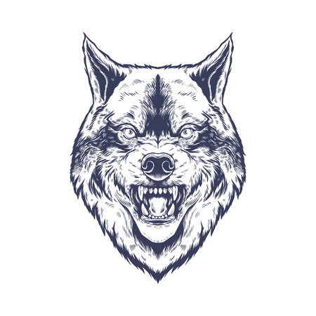 Wolf head. Wild animal. Vector illustration isolated on white background.