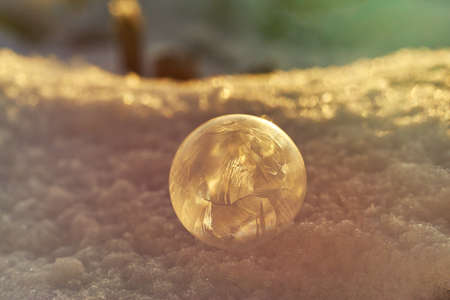 Isolated frozen on snow in winterの写真素材