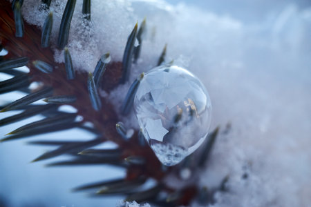Freezing bubble on a Christmas tree branch on a winter dayの写真素材